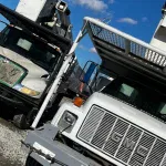 Tree Service Near Me