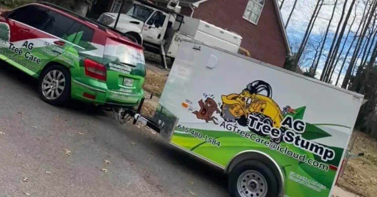 Experienced Tree Service Company In Nashville, TN