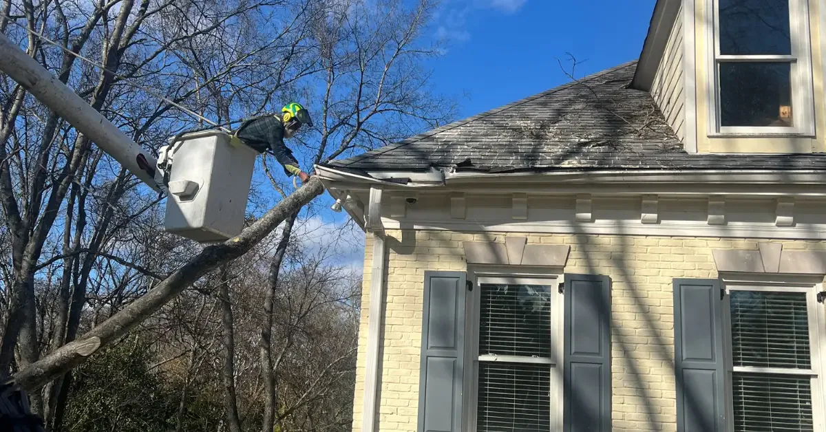 24/7 Emergency Tree Service