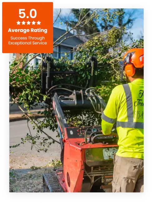 Commercial Tree Service