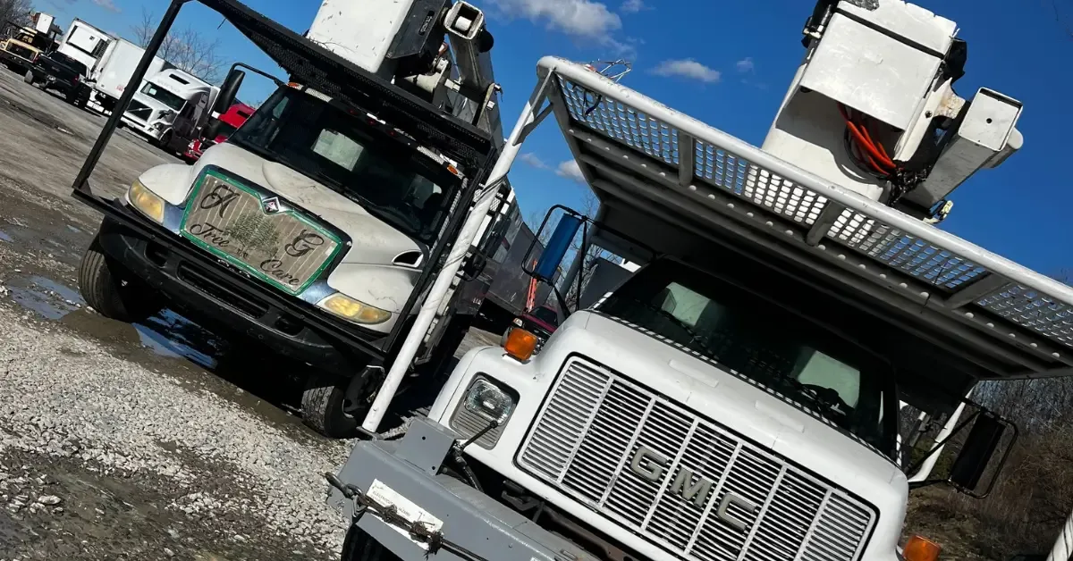 Tree Service Near Me