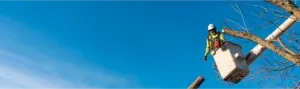 Home Banner
