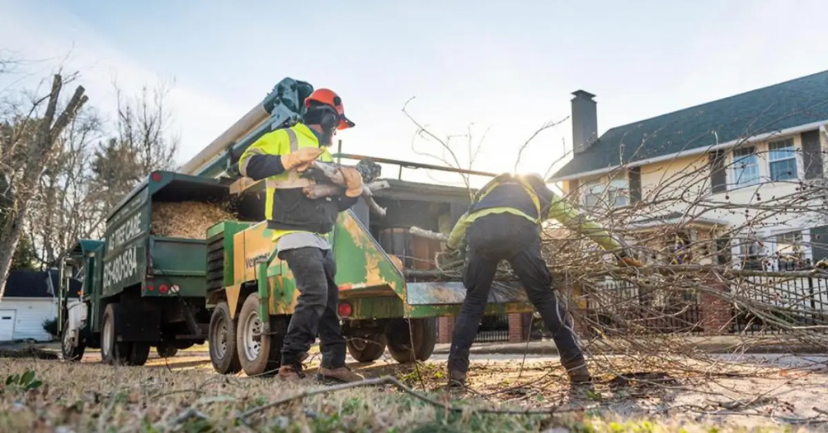 Land / Lot Clearing